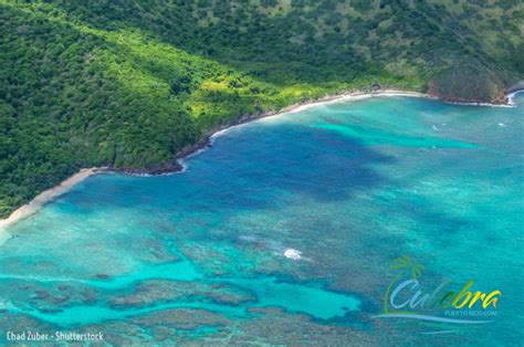 Feb 8, 2024 ... Spend a day on Flamenco beach · Visit Carlos Rosario beach · Take a boat ride to Culebrita · Go snorkeling on Tamarindo beach · Visit Zo...